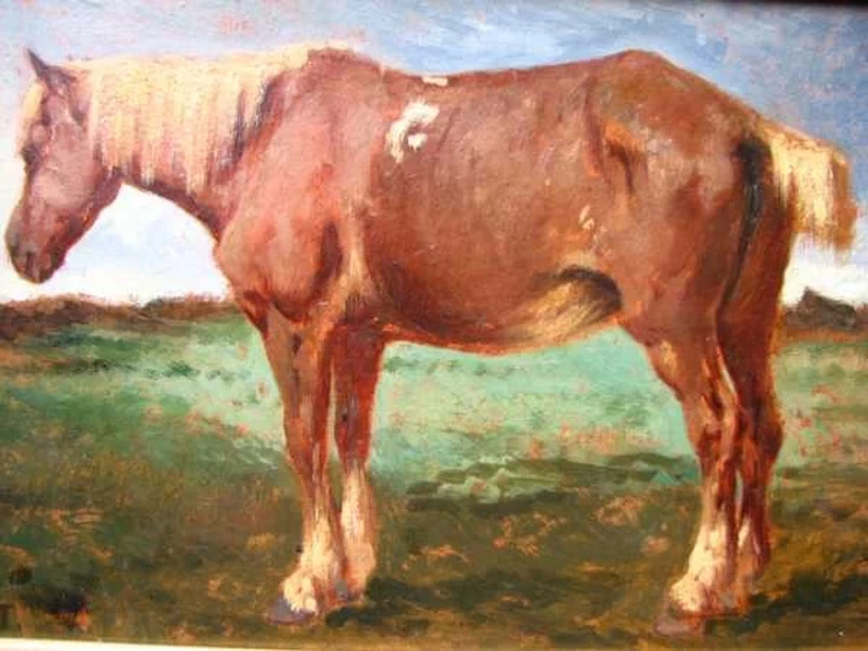 Ritratto di un cavallo